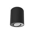 Nowodvorski Lighting griestu lampa 8902 Set Black/Silver