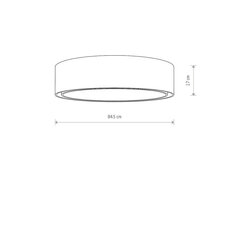 Nowodvorski Lighting потолочный светильник 8944 Mist VII цена и информация | Потолочные светильники | 220.lv