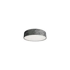 Nowodvorski Lighting griestu lampa 8956 Crogo Grey IV цена и информация | Потолочные светильники | 220.lv