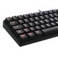 Deltaco Gaming tastatūra 60% mehāniska, brūni slēdži, USB, RGB, Ziemeļvalstu цена и информация | Klaviatūras | 220.lv