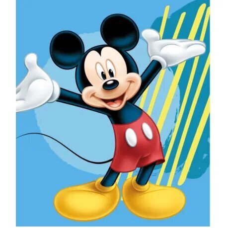Pleds bērniem, Mickey Mouse cena un informācija | Gultas pārklāji, pledi | 220.lv