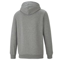 Džemperis vīriešiem Puma Essential Small Logo Hoodie M 586690-03, pelēks cena un informācija | Sporta apģērbs vīriešiem | 220.lv