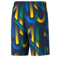 Vīriešu sporta šorti Puma Neymar Jr. Future Printed Short M 605552-06, dažādās krāsās цена и информация | Футбольная форма и другие товары | 220.lv