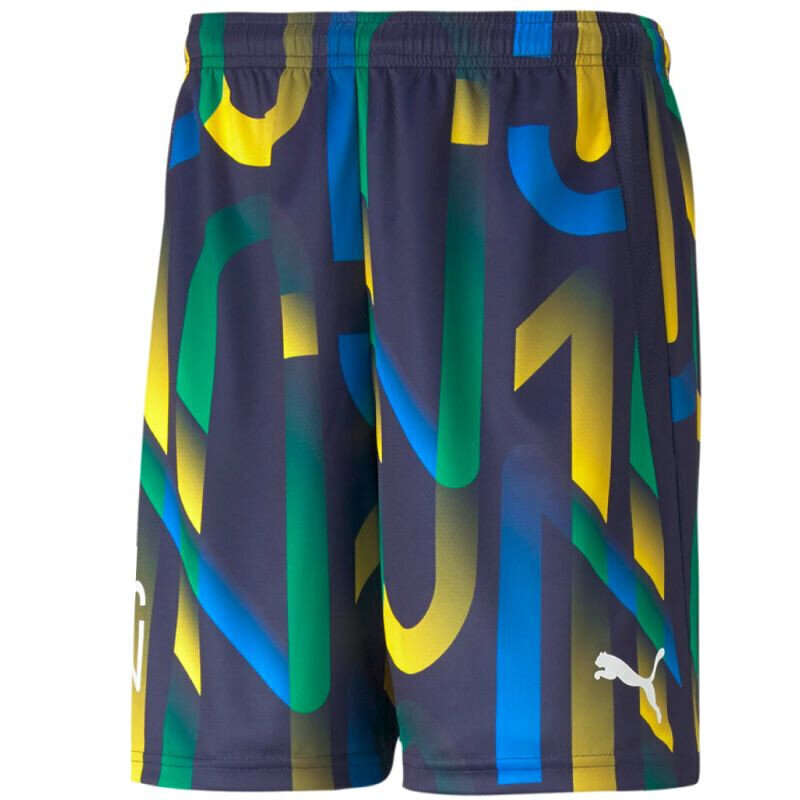 Vīriešu sporta šorti Puma Neymar Jr. Future Printed Short M 605552-06, dažādās krāsās цена и информация | Futbola formas un citas preces | 220.lv