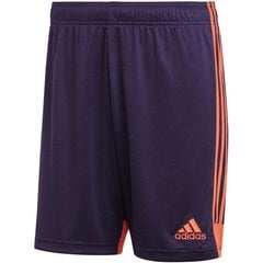 Шорты мужские Adidas Tastigo 19 M DP3252, фиолетовые цена и информация | Мужские шорты | 220.lv