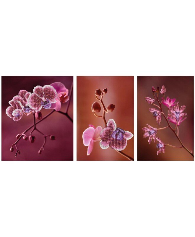 Izšūšanas komplekts MiniArt Crafts Pink Orchids triptych цена и информация | Izšūšanas piederumi | 220.lv