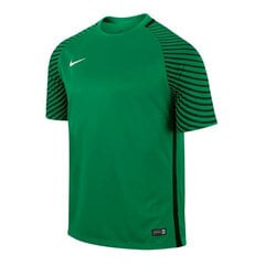 T-krekls vīriešiem Nike Gardien M 725889319, zaļš cena un informācija | Vīriešu T-krekli | 220.lv