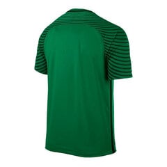 T-krekls vīriešiem Nike Gardien M 725889319, zaļš cena un informācija | Vīriešu T-krekli | 220.lv