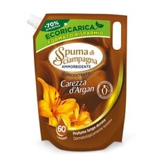 Кондиционер для белья Spuma di Sciampagna CAREZZA D'ARGAN REFILL 1200мл цена и информация | Средства для стирки | 220.lv