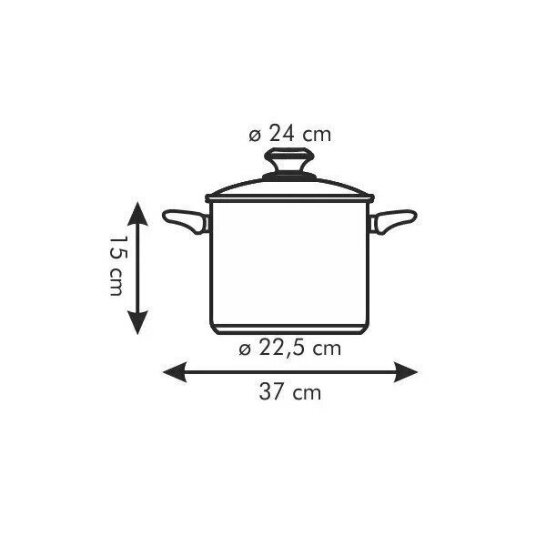 Tescoma katls ar vāku Presto, 7 l cena un informācija | Katli, tvaika katli | 220.lv