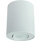 Nowodvorski Lighting griestu lampa 8895 Set White/White цена и информация | Griestu lampas | 220.lv
