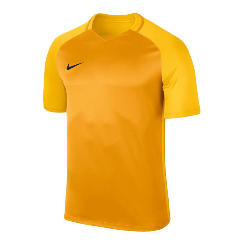 T-krekls bērniem Nike Dry Trophy III Jr 881484739, dzeltens cena un informācija | Zēnu krekli | 220.lv