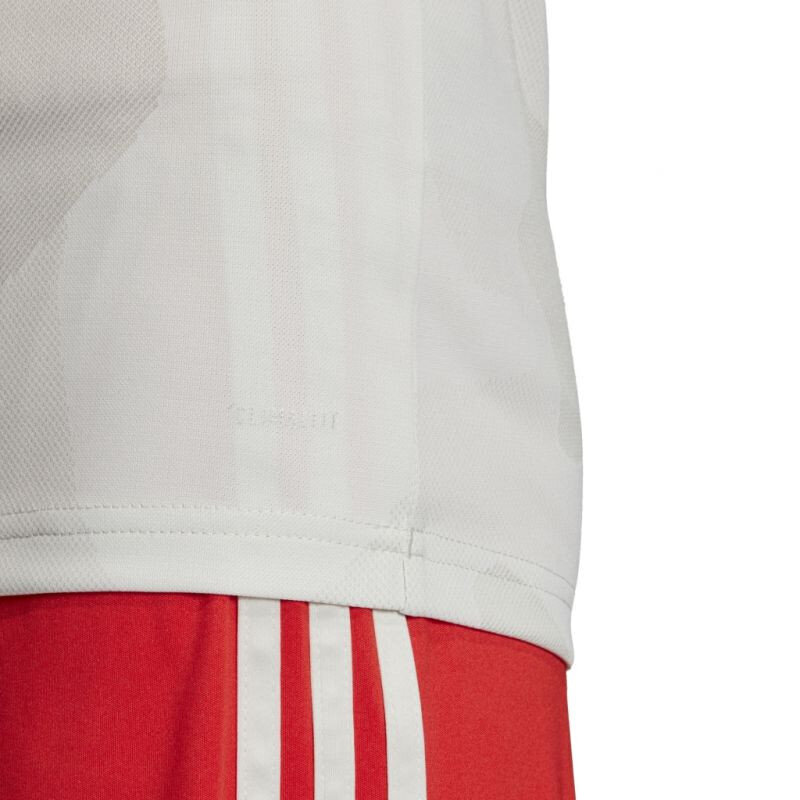 T-krekls vīriešiem Adidas Juventus Turin Away Jr DW5457 cena un informācija | Zēnu krekli | 220.lv