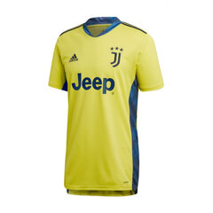 Футболка мужская Adidas Juventus Turin M FI5004 цена и информация | Мужская спортивная одежда | 220.lv