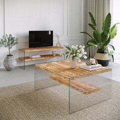 TV galdiņa un kafijas galdiņa komplekts Kalune Design Niagara S102, brūns cena un informācija | TV galdiņi | 220.lv