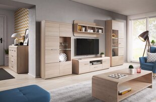 Dzīvojamās istabas mēbeļu komplekts Link, ozola krāsā cena un informācija | Sekcijas | 220.lv