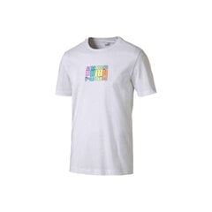 Sporta T-krekls vīriešiem Puma Multicolor Graphic Tee M 848566, balts cena un informācija | Sporta apģērbs vīriešiem | 220.lv