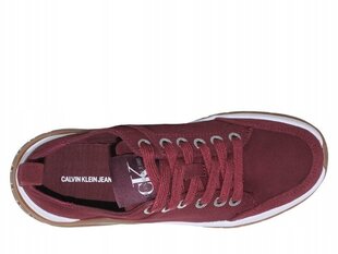 Спортивная обувь Calvin Klein Tisha B4R0764 цена и информация | Спортивная обувь, кроссовки для женщин | 220.lv
