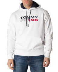Джемпер мужской Tommy Hilfiger Jeans BFN-G-339310 цена и информация | Мужские толстовки | 220.lv