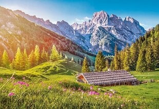 Castorland puzle Summer in the Alps 500 det. cena un informācija | Puzles, 3D puzles | 220.lv