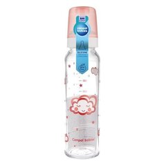 Pudelīte no stikla, CANPOL, 240 ml (42/101) cena un informācija | Bērnu pudelītes un to aksesuāri | 220.lv