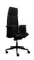 Biroja krēsls Tronhill Luna Executive цена и информация | Biroja krēsli | 220.lv