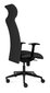Biroja krēsls Tronhill Solium Executive цена и информация | Biroja krēsli | 220.lv