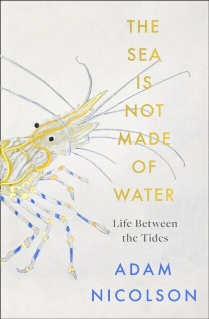 The sea is not made of water: Life Between the Tides cena un informācija | Enciklopēdijas, uzziņu literatūra | 220.lv