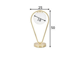 <p>Настольная лампа GLAMY DROP, 25х18х50 см</p>
 цена и информация | Настольные лампы | 220.lv
