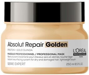 Maska bojātiem matiem L'Oreal Serie Expert Absolut Repair Golden Quinoa + Protein 250 ml cena un informācija | Kosmētika matu stiprināšanai | 220.lv