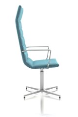 Biroja krēsls Wood Garden Shiny Basic YP011, zils cena un informācija | Biroja krēsli | 220.lv