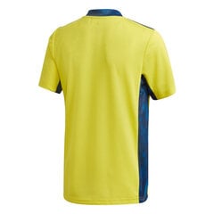 Футболка для мальчиков Adidas Juventus Turin Jr. цена и информация | Рубашки для мальчиков | 220.lv