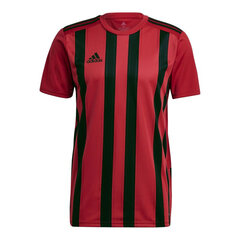 T-krekls vīriešiem Adidas Striped 21 M GV1381 cena un informācija | Vīriešu T-krekli | 220.lv
