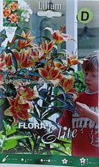 Лилии OT 'Treelilies' Montego Bay, 2 шт. цена и информация | Луковичные цветы | 220.lv