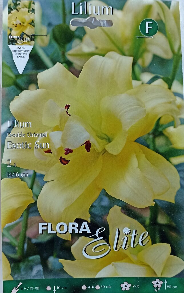 Lilijas Austrumu Exotic Sun, 2 gb cena un informācija | Sīpolpuķes | 220.lv