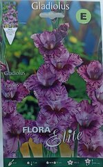 Гладиолус Passos, 10 шт. цена и информация | Луковичные цветы | 220.lv