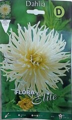 Георгина цветок кактуса White Star цена и информация | Луковичные цветы | 220.lv