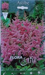 Astilbe rozā cena un informācija | Sīpolpuķes | 220.lv