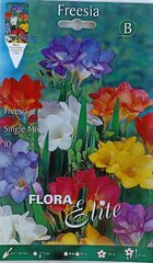 Фрезия простая, смешанная, 10 шт. цена и информация | Луковичные цветы | 220.lv