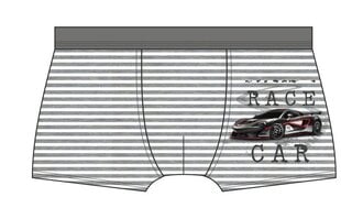 ШОРТЫ КОРНЕТ KD-701/106 цена и информация | Нижнее белье для мальчиков | 220.lv