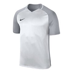 Футболка детская Nike Dry Trophy III Jr 881484100, серая цена и информация | Рубашки для мальчиков | 220.lv