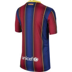 Футболка детская Nike FC Barcelona 2020/21 Stadium Home Jr CD4500456, синяя цена и информация | Рубашки для мальчиков | 220.lv