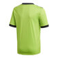 T-krekls bērniem Adidas Table 18 Jr GH1672, zaļš цена и информация | Zēnu krekli | 220.lv