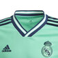 T-krekls bērniem Adidas Real Madrid 3rd Jr DX8917, zaļš cena un informācija | Zēnu krekli | 220.lv