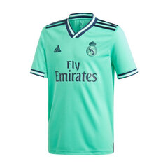 T-krekls bērniem Adidas Real Madrid 3rd Jr DX8917, zaļš цена и информация | Рубашки для мальчиков | 220.lv