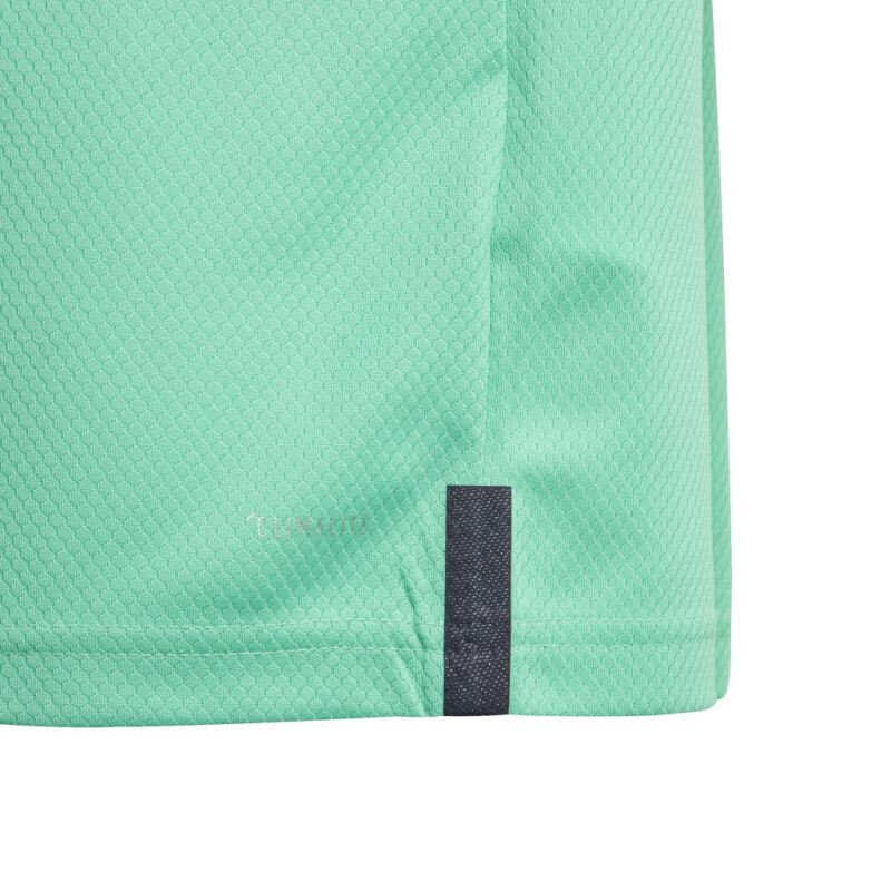 T-krekls bērniem Adidas Real Madrid 3rd Jr DX8917, zaļš цена и информация | Zēnu krekli | 220.lv