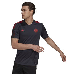T-krekls vīriešiem Adidas FC Bayern GR0658 cena un informācija | Futbola formas un citas preces | 220.lv