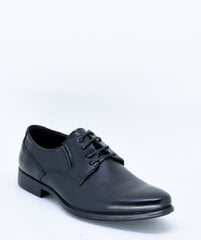 Выходные туфли для мужчин MEKOMELO 11966681.46 цена и информация | Мужские ботинки | 220.lv