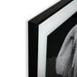 Glezna Zilonis, 2 x 50 x 50 cm цена и информация | Gleznas | 220.lv
