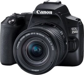 Canon EOS 250D (Black) + EF-S 18-55mm f/4-5.6 IS STM + EF 50mm f/1.8 STM цена и информация | Цифровые фотоаппараты | 220.lv